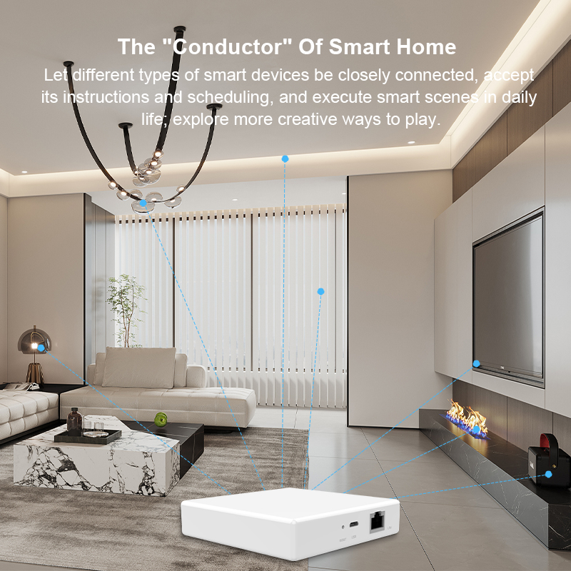 Matter Gateway Hub Homekit Tuy - огляд і ціна Matter Hub Thread
